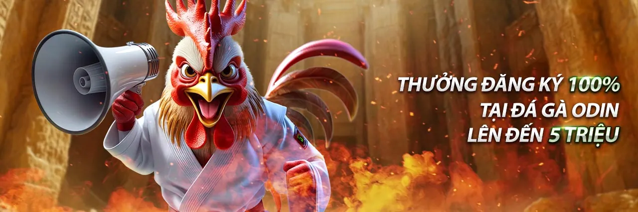 Hình ảnh đại diện cho trang tin tức 98win98 code